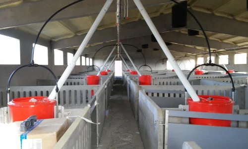 Copia_de_20151205_103433