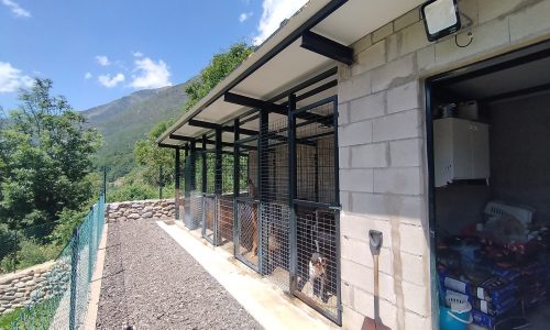 núcleo